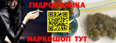 прущие крисы Будённовск