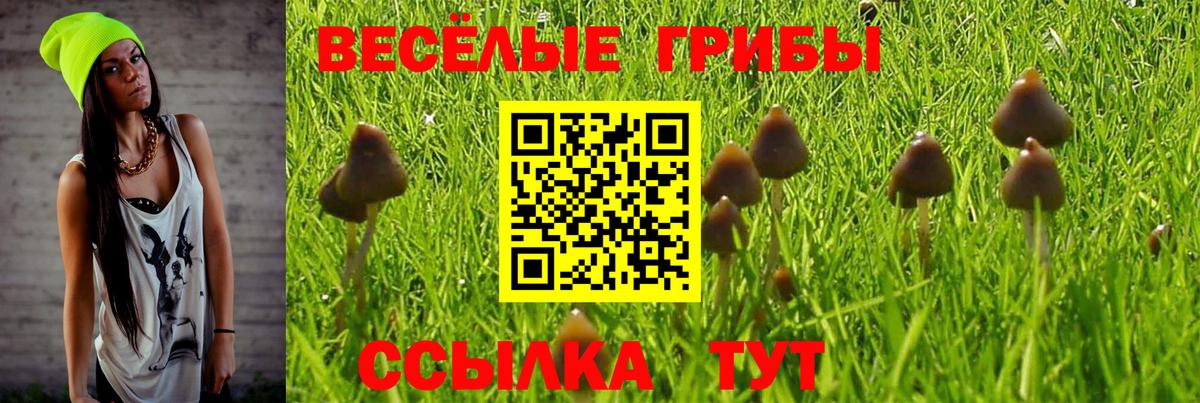 Шали  Галлюциногенные грибы Psilocybe  Псилоцибиновые грибы мухоморы  Вход с VPN 
